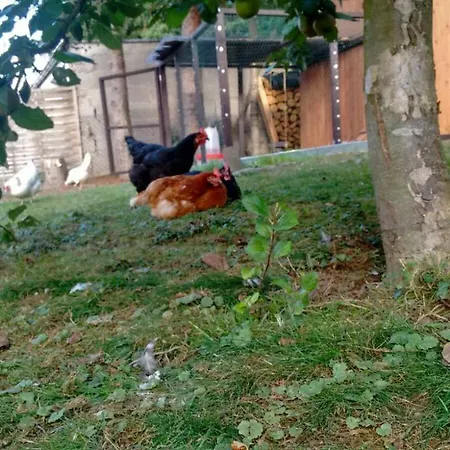 Citynahe Festung Ehrenbreitstein 65m² Mit Grossem Garten Кобленц