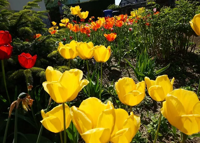 Citynahe Festung Ehrenbreitstein 65m² Mit Grossem Garten *