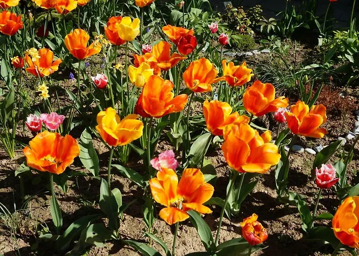 Citynahe Festung Ehrenbreitstein 65m² Mit Grossem Garten Апартаменты *