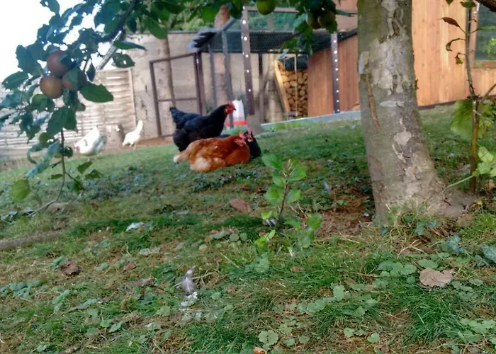 Citynahe Festung Ehrenbreitstein 65m² Mit Grossem Garten Koblencja
